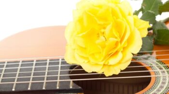 Uma flor em cima do violão para representar musicas tristes.
