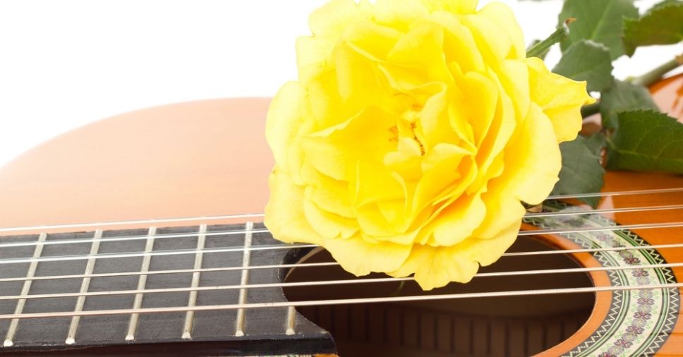 Passando pelo luto? Algumas músicas tristes podem dar apoio