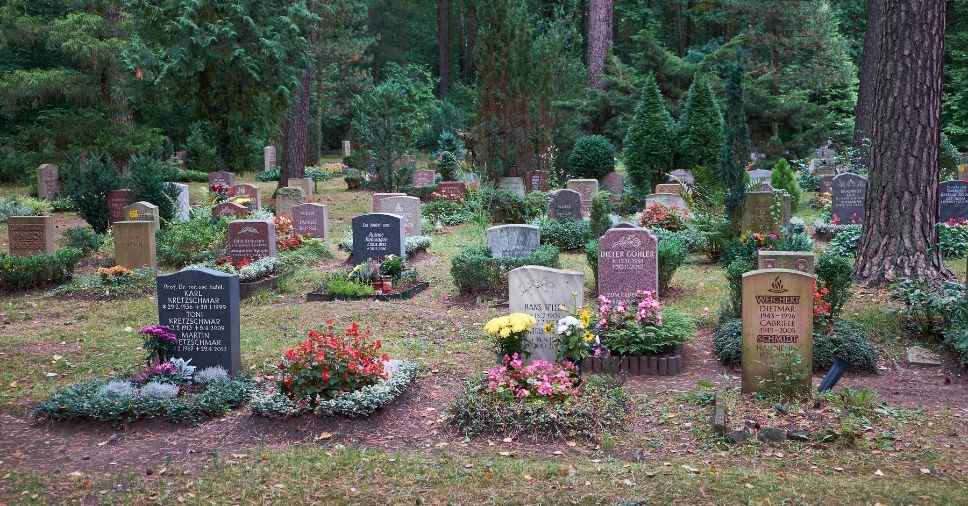 Conheça mais sobre os velórios sustentáveis!