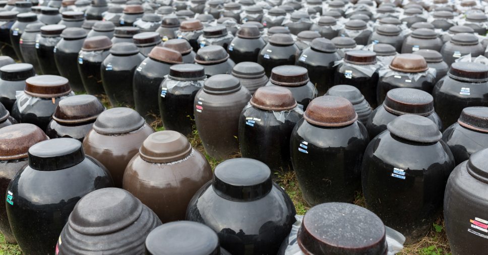 Centenas de urnas e potes cerâmicos organizados em campo aberto, simbolizando diversas crenças sobre cremação.